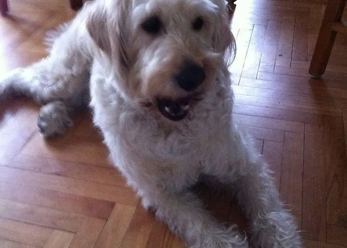 Forsthaus Am Maison d'hôtes